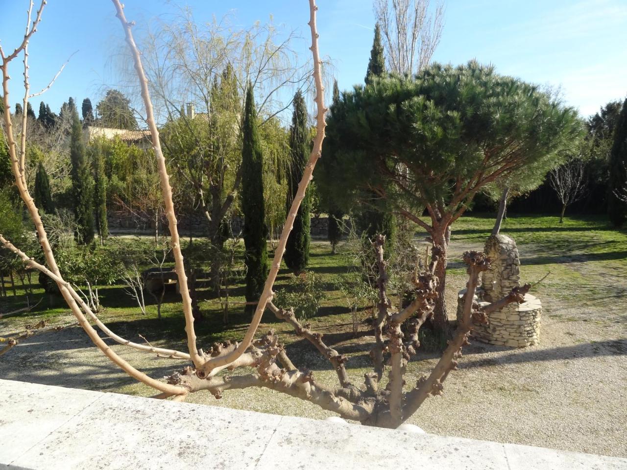 Locations Des Alpilles Apartment Saint-Remy-de-Provence Luaran gambar